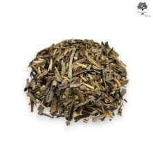 Attēlu rezultāti vaicājumam “Asparagus officinalis leaf”