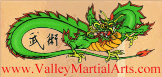 Image result for Dragon Martial Arts Association