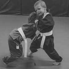 Image result for Red Dragon Taekwondo club