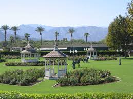 Image result for White Rose Polo Club