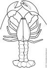 Lobster coloring page