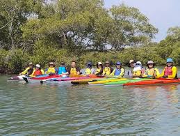 Image result for Tamworth Canoe Club