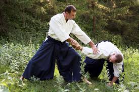 Image result for Hachidori ju-jitsu Martial Arts