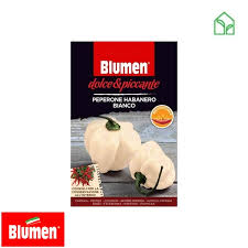 Afbeeldingsresultaat voor white habanero hot pepper