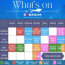 Image result for University of Warwick Skydiving Club