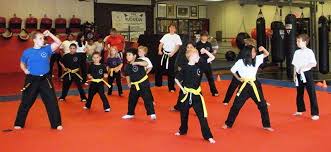 Image result for Blackpool Budokan Martial Arts