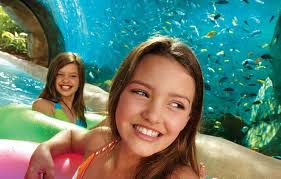 Image result for rosa aquatica