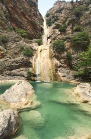 Attēlu rezultāti vaicājumam “Leporida”