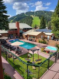 Image result for Eisenhut