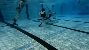 Image result for Dublin Underwater Hockey Team