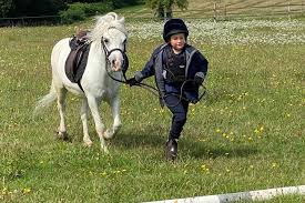 Image result for Chiddingfold Branch Of The Pony Club