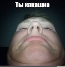 Картинки по запросу ты какашка