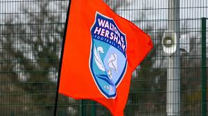 Image result for Leatherhead Swans Club
