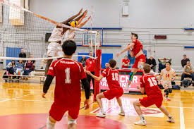 Image result for York University Gymnastics Club