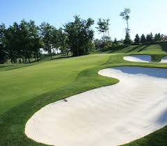 Image result for Ravensworth Golf Club Ltd