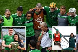 Image result for University Of Limerick Gaa Hurling Club