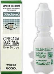 Image result for Cineraria maritima