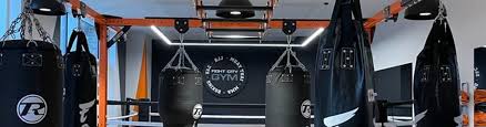 Image result for Elite Fighting Systems, Elephant & Castle