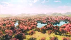 Image result for foto criação de deus