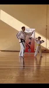Image result for Itf Taekwondo Woking
