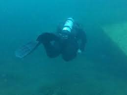 Image result for Cleveland Divers