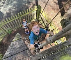 Image result for The Go Ape Experience (Delamere Forest)