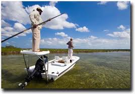 Image result for платформа Андрос