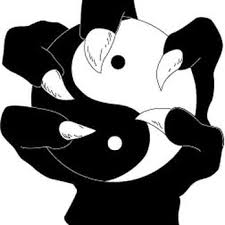 Image result for BARNET and WHETSTONE CHANGQUAN FLYING DRAGON