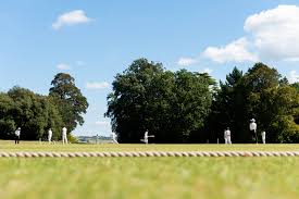 Image result for Antelope & Castle Cricket Club