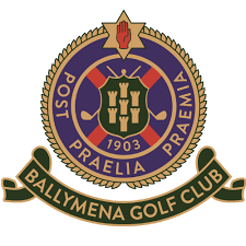 Image result for Ballymena Road Club