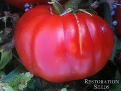 Afbeeldingsresultaat voor caspian pink tomato