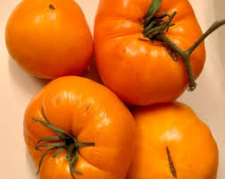 Afbeeldingsresultaat voor black elephant tomato