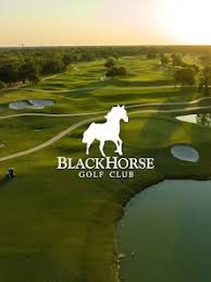 Image result for Black Horse Ballooning Club