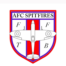 Image result for Hampshire Spitfires Finswimming Club