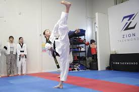 Image result for Torbay Taekwondo Schools