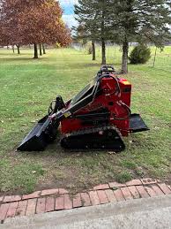 Image result for dipperfox tehron