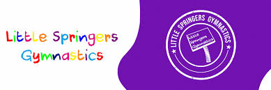 Image result for Mk Springers Gymnastics Club