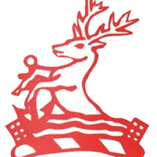 Image result for Hartlepool Rovers Rugby Football Club