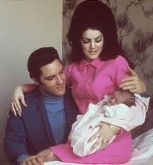 Attēlu rezultāti vaicājumam “Licea pusilla young”