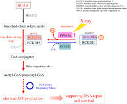 Image result for BCKA