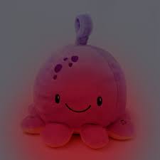 Image result for Llanelli Octopush Club