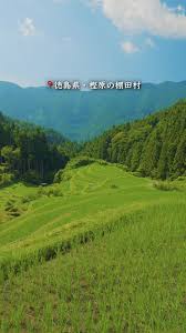 「花咲めぐみ ぼくのなつやすみ3」の画像検索結果