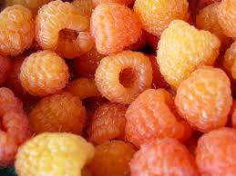 Attēlu rezultāti vaicājumam “Rubus idaeus fruit”