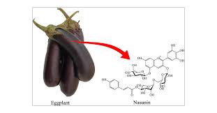 Image result for %E1%83%99%E1...tart=40