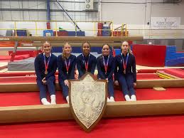 Image result for Notts Gymnastics Club