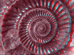 Image result for Anaglyph