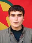 Top Ali Hamza News