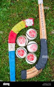 Image result for Ballachulish Shinty Club