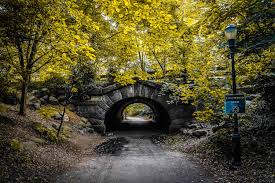 Image result for Prospect Park Beginner Jogging Sessions