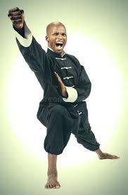 Image result for kung fu
